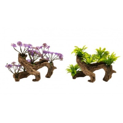 ΔΙΑΚΟΣΜΗΤΙΚΟ ΦΥΤΟ ΕΝΥΔΡΕΙΟΥ 15Χ17CM